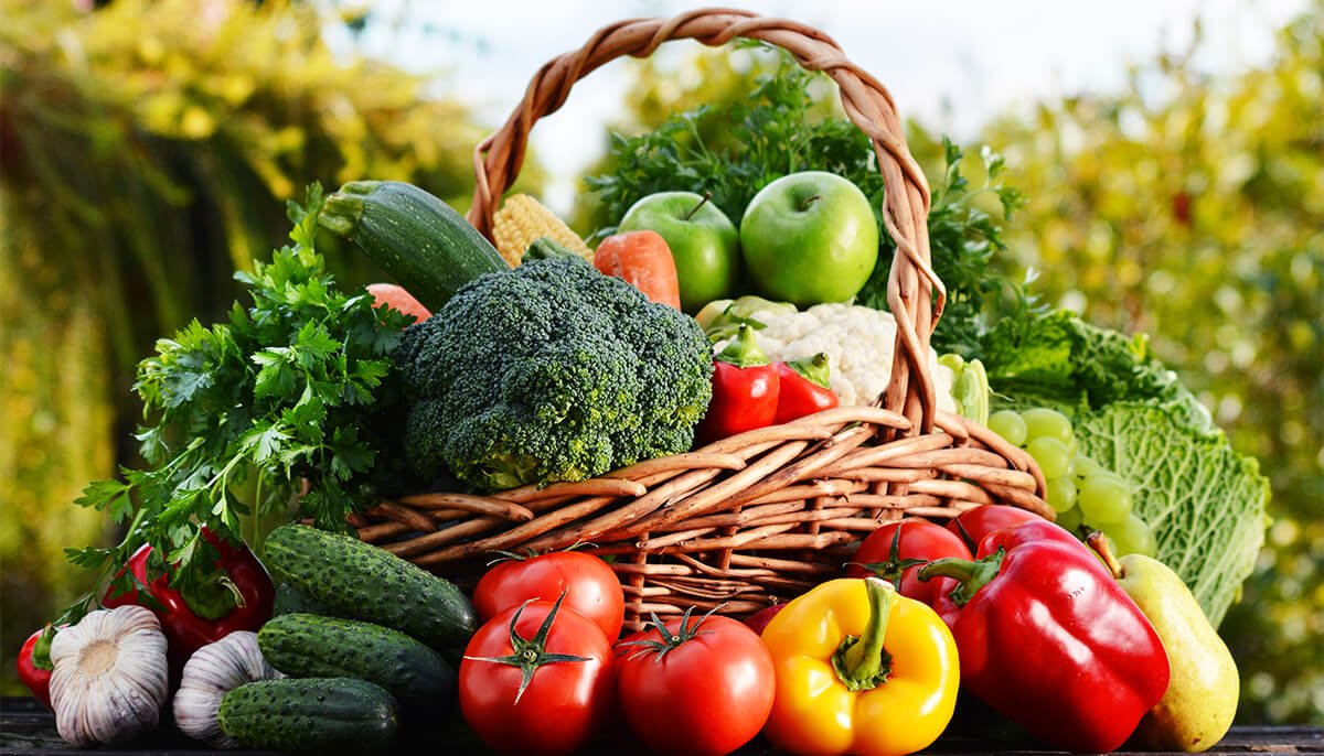 Vegetables/ सब्जियां 